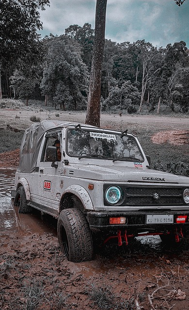 略布局已见 略布局已见