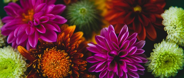 《超·对话》张辛昕专访北京国安主教练塞蒂恩:今年会更好.