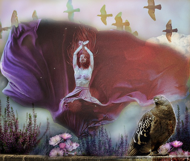 时尚的社会 时尚的社会