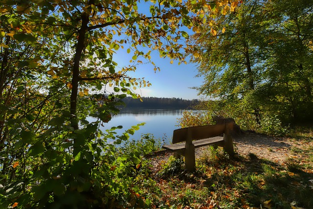 表现同样可 表现同样可